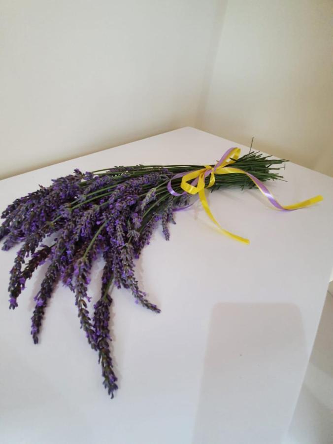Farm stay Colle Del Mirto Castelnuovo Cilento