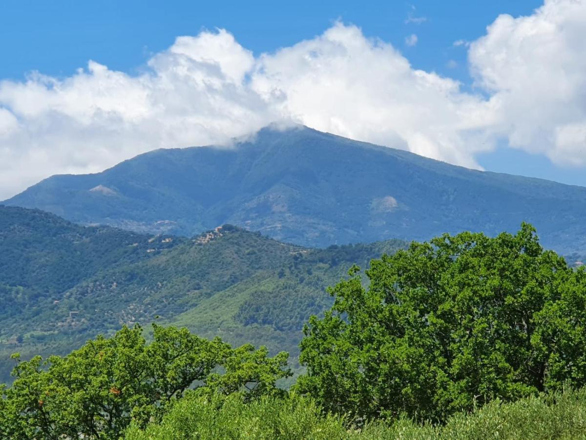 Colle Del Mirto