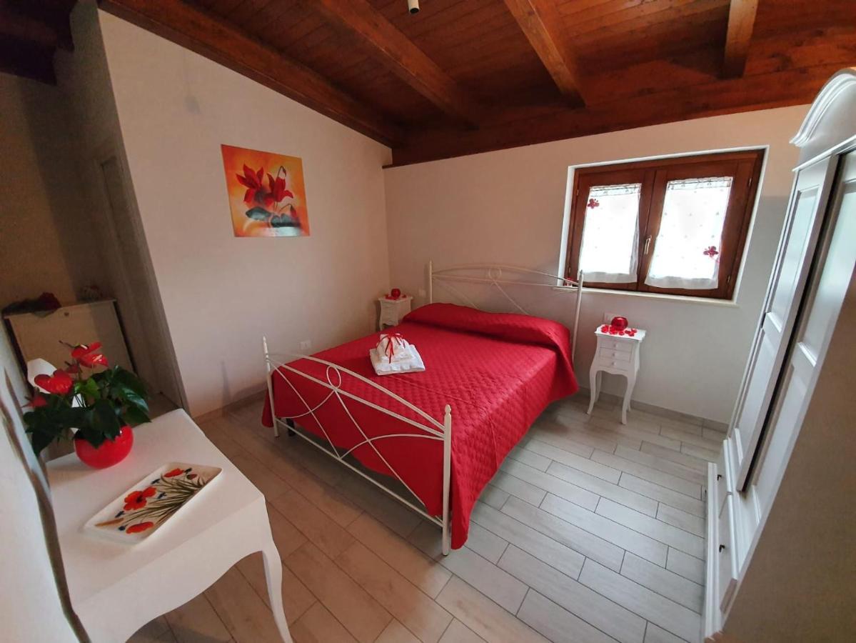 Farm stay Colle Del Mirto *