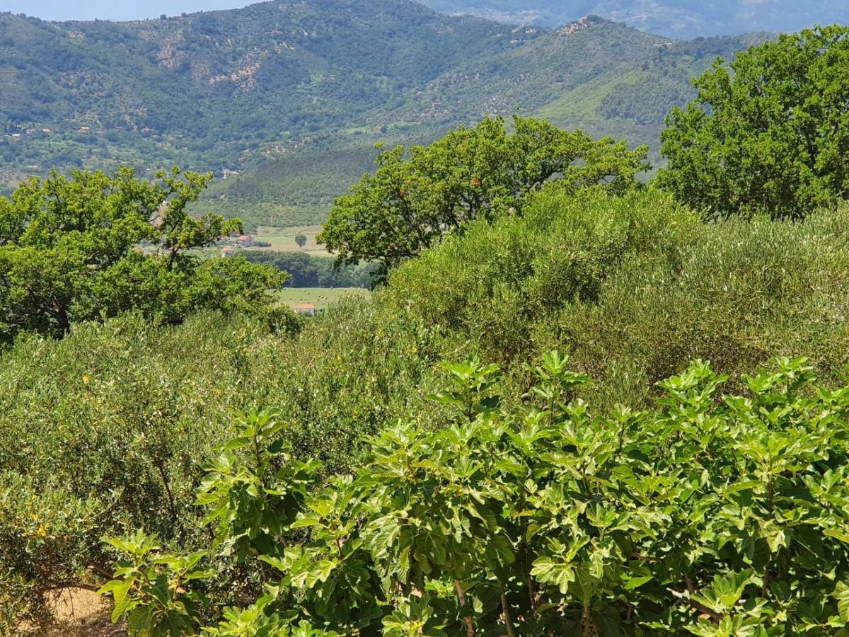 Farm stay Colle Del Mirto