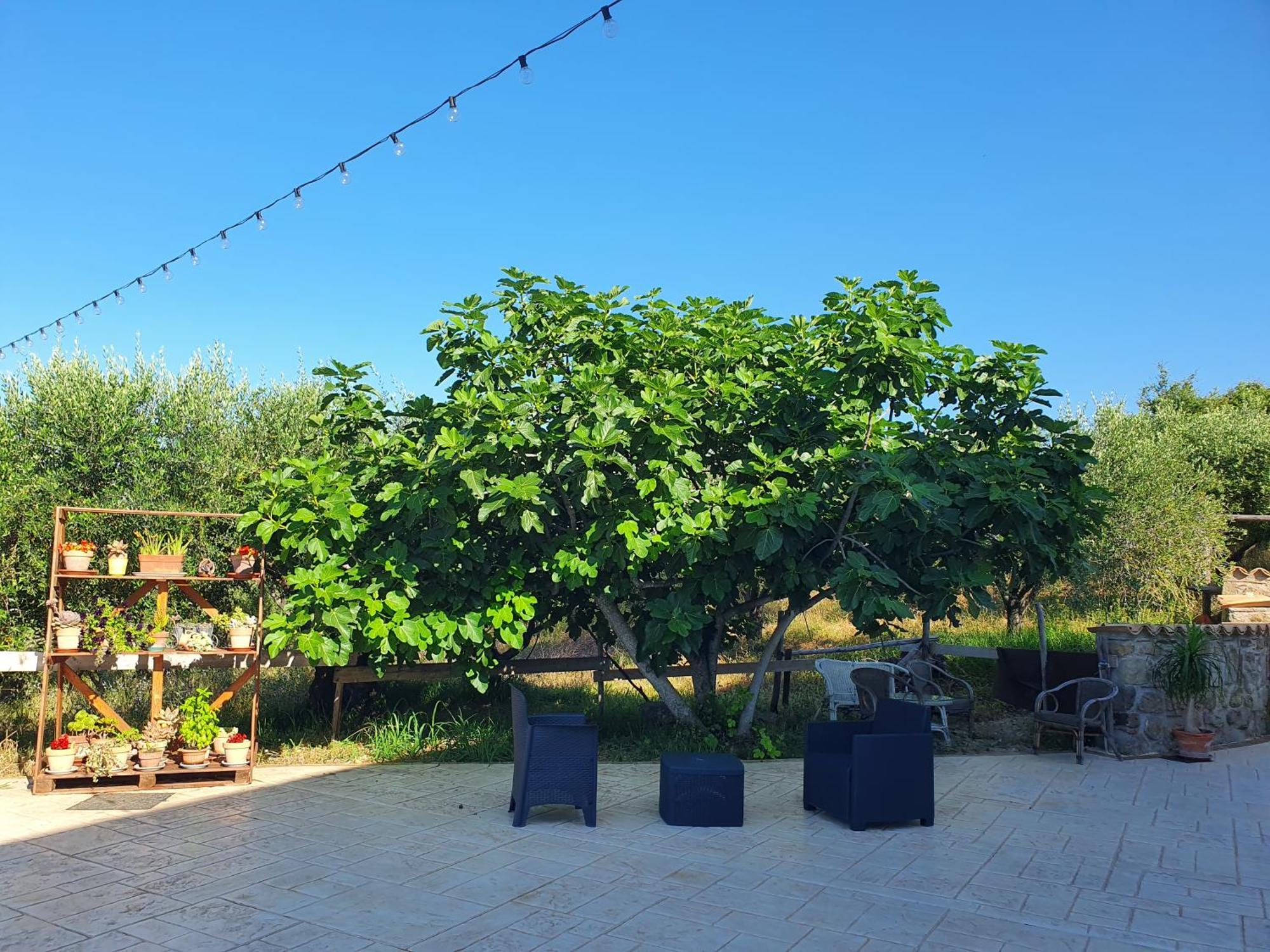 Farm stay Colle Del Mirto