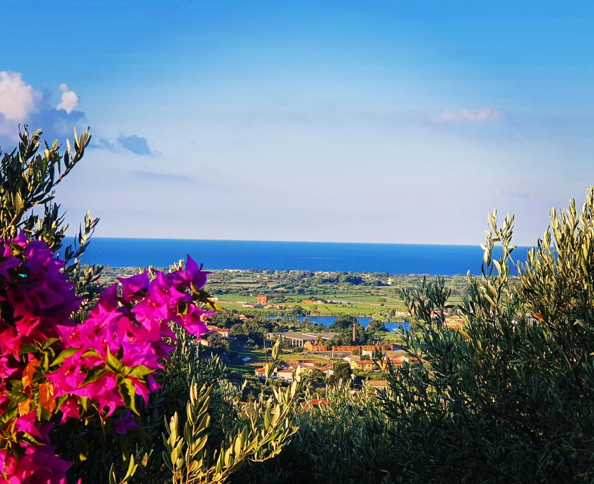 Colle Del Mirto Farm stay Castelnuovo Cilento