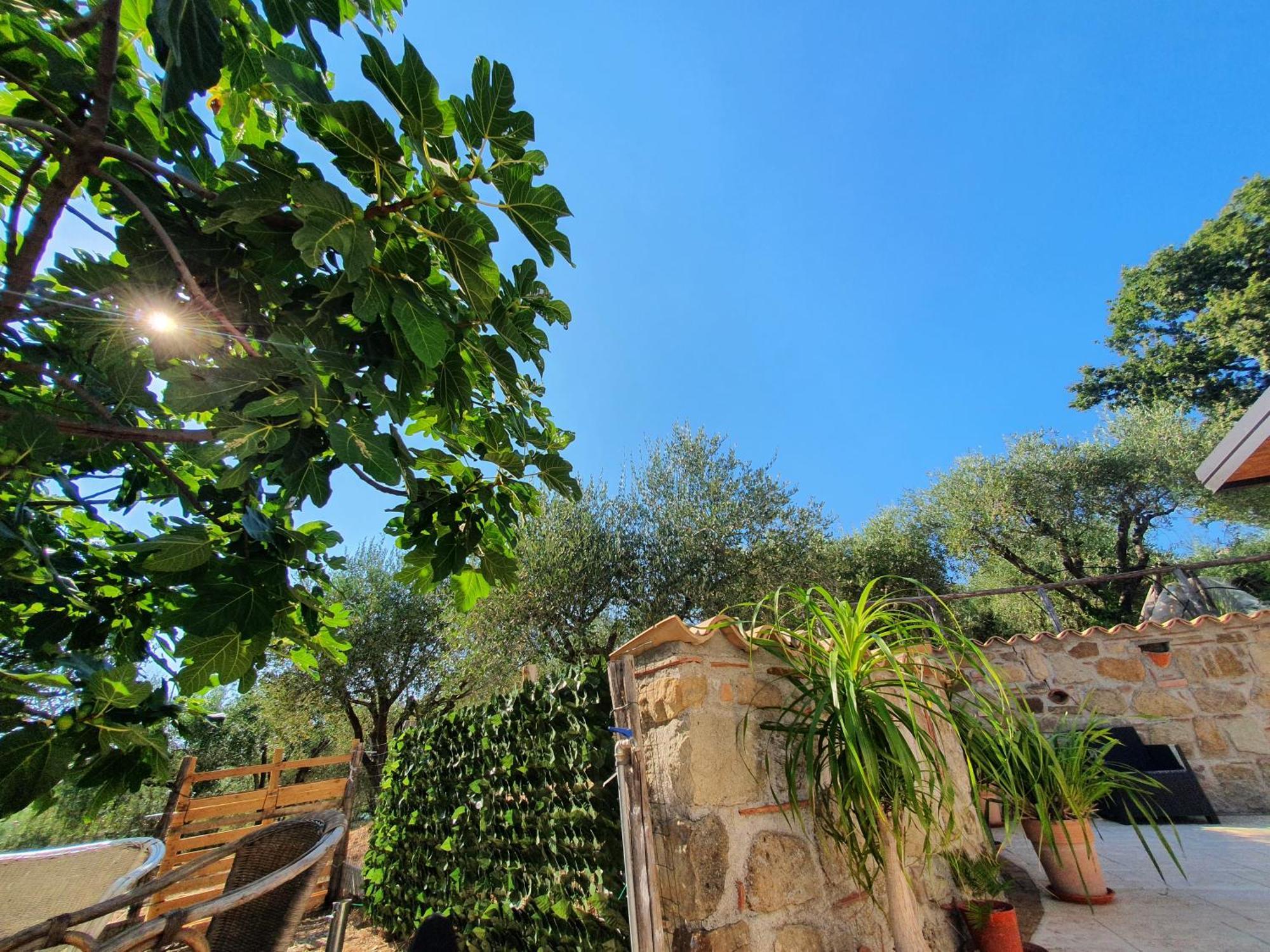 Farm stay Colle Del Mirto